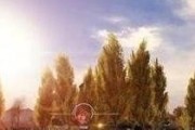 线条感的单机游戏