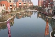 上海颛桥天气