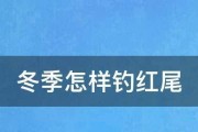 杨梅喜欢什么环境