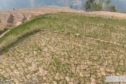 南阳未来15天气温