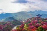 贵州省毕节市纳雍县天气预报 贵州省毕节市纳雍县天气预报