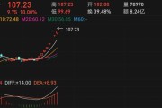 恒立实业再度涨停，13个交易日12个涨停，你怎么看
