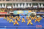近1500名武术爱好者齐聚佛山“以武会友”