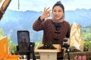 茶山变直播间 闽北返乡青年带火乡村特产与文旅