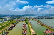 西江船闸联合调度2025年过货量突破5亿吨